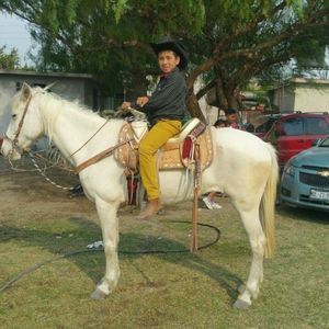 Meet your Posher, Johny